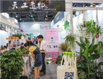 走進(jìn)植物，享受美好——花點(diǎn)園藝亮相第十二屆杭州文博會(huì)