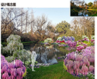 人文花展｜2023太子灣春季花事活動(dòng)已開(kāi)啟，人文園林“錦上添花”受邀參展，敬請(qǐng)期待！