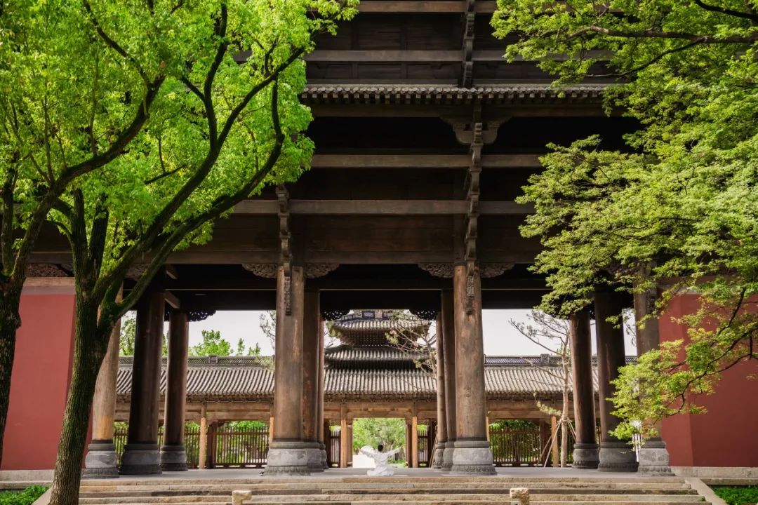 喜報|人文園林榮獲桐鄉(xiāng)市“鳳鳴杯”三項優(yōu)質(zhì)工程榮譽！