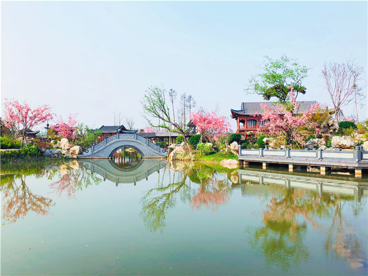 黃有華-韓城國家文史公園瓊島攬?jiān)绿幖t花綠葉，春意盎然。.jpg