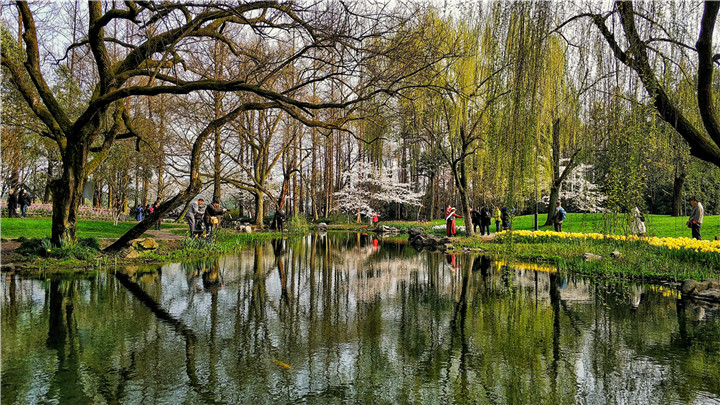 晏佳佳-12春光燦爛——2018-03-22——太子灣公園的春天，色彩靚麗 (2).jpg